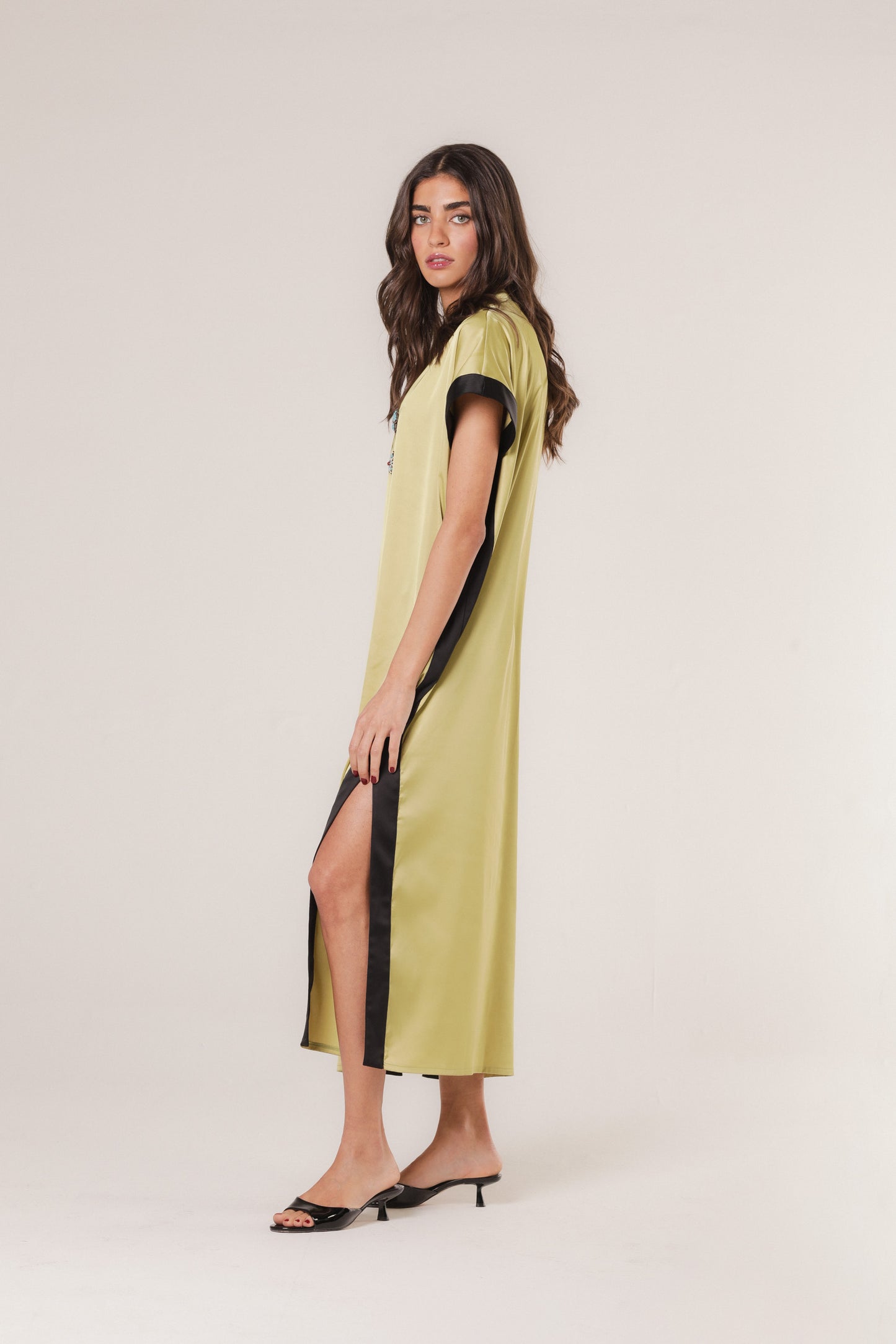 Persian Jewel Dress Rose Garden Heritage Persian Jewel Dress Rose Garden Heritage